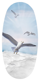 DASOV 101 BL Journey Home Clouds Birds Blue